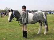 Image 186 in IPSWICH HORSE SOCIETY SPRING SHOW. 22 APRIL 2019