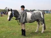 Image 186 in IPSWICH HORSE SOCIETY SPRING SHOW. 22  APRIL 2019