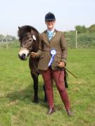 Image 188 in IPSWICH HORSE SOCIETY SPRING SHOW. 22 APRIL 2019