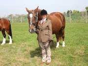 Image 192 in IPSWICH HORSE SOCIETY SPRING SHOW. 22  APRIL 2019