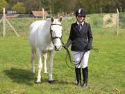 Image 193 in IPSWICH HORSE SOCIETY SPRING SHOW. 22  APRIL 2019