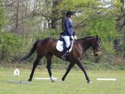 Image 195 in IPSWICH HORSE SOCIETY SPRING SHOW. 22  APRIL 2019