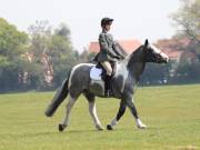 Image 197 in IPSWICH HORSE SOCIETY SPRING SHOW. 22 APRIL 2019