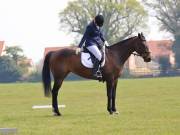 Image 199 in IPSWICH HORSE SOCIETY SPRING SHOW. 22 APRIL 2019