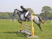 Image 2 in IPSWICH HORSE SOCIETY SPRING SHOW. 22 APRIL 2019