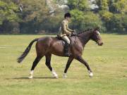 Image 200 in IPSWICH HORSE SOCIETY SPRING SHOW. 22 APRIL 2019