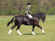 Image 205 in IPSWICH HORSE SOCIETY SPRING SHOW. 22 APRIL 2019