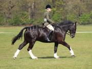 Image 205 in IPSWICH HORSE SOCIETY SPRING SHOW. 22  APRIL 2019