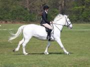 Image 206 in IPSWICH HORSE SOCIETY SPRING SHOW. 22 APRIL 2019
