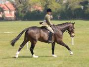 Image 208 in IPSWICH HORSE SOCIETY SPRING SHOW. 22 APRIL 2019
