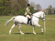 Image 209 in IPSWICH HORSE SOCIETY SPRING SHOW. 22 APRIL 2019