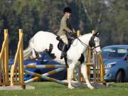 Image 21 in IPSWICH HORSE SOCIETY SPRING SHOW. 22 APRIL 2019