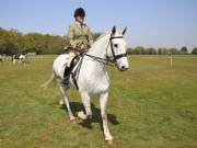 Image 210 in IPSWICH HORSE SOCIETY SPRING SHOW. 22 APRIL 2019