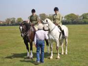Image 215 in IPSWICH HORSE SOCIETY SPRING SHOW. 22 APRIL 2019