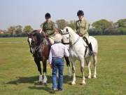 Image 215 in IPSWICH HORSE SOCIETY SPRING SHOW. 22  APRIL 2019