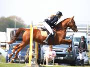 Image 223 in IPSWICH HORSE SOCIETY SPRING SHOW. 22 APRIL 2019