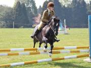 Image 226 in IPSWICH HORSE SOCIETY SPRING SHOW. 22 APRIL 2019