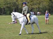 Image 227 in IPSWICH HORSE SOCIETY SPRING SHOW. 22 APRIL 2019