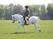 Image 228 in IPSWICH HORSE SOCIETY SPRING SHOW. 22 APRIL 2019
