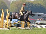 Image 229 in IPSWICH HORSE SOCIETY SPRING SHOW. 22 APRIL 2019