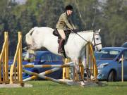 Image 23 in IPSWICH HORSE SOCIETY SPRING SHOW. 22 APRIL 2019