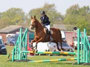 Image 232 in IPSWICH HORSE SOCIETY SPRING SHOW. 22 APRIL 2019