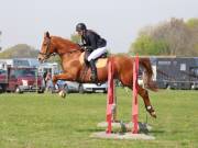 Image 234 in IPSWICH HORSE SOCIETY SPRING SHOW. 22 APRIL 2019