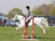 Image 236 in IPSWICH HORSE SOCIETY SPRING SHOW. 22 APRIL 2019