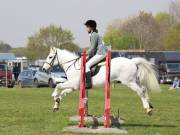 Image 236 in IPSWICH HORSE SOCIETY SPRING SHOW. 22  APRIL 2019