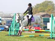 Image 237 in IPSWICH HORSE SOCIETY SPRING SHOW. 22 APRIL 2019
