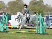 Image 238 in IPSWICH HORSE SOCIETY SPRING SHOW. 22 APRIL 2019