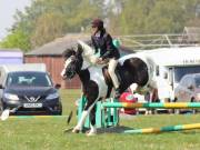 Image 239 in IPSWICH HORSE SOCIETY SPRING SHOW. 22 APRIL 2019