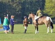 Image 24 in IPSWICH HORSE SOCIETY SPRING SHOW. 22 APRIL 2019