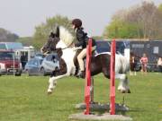 Image 240 in IPSWICH HORSE SOCIETY SPRING SHOW. 22  APRIL 2019