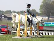 Image 243 in IPSWICH HORSE SOCIETY SPRING SHOW. 22  APRIL 2019