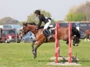 Image 244 in IPSWICH HORSE SOCIETY SPRING SHOW. 22 APRIL 2019