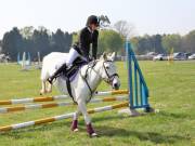 Image 246 in IPSWICH HORSE SOCIETY SPRING SHOW. 22 APRIL 2019