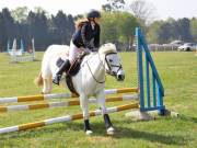 Image 248 in IPSWICH HORSE SOCIETY SPRING SHOW. 22 APRIL 2019