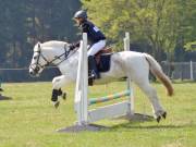 Image 250 in IPSWICH HORSE SOCIETY SPRING SHOW. 22 APRIL 2019
