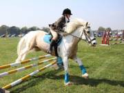 Image 251 in IPSWICH HORSE SOCIETY SPRING SHOW. 22 APRIL 2019