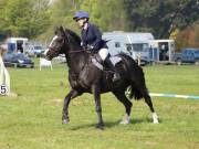 Image 254 in IPSWICH HORSE SOCIETY SPRING SHOW. 22  APRIL 2019