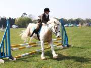 Image 255 in IPSWICH HORSE SOCIETY SPRING SHOW. 22  APRIL 2019