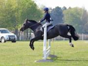 Image 256 in IPSWICH HORSE SOCIETY SPRING SHOW. 22 APRIL 2019