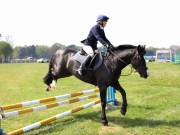 Image 257 in IPSWICH HORSE SOCIETY SPRING SHOW. 22 APRIL 2019