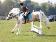 Image 258 in IPSWICH HORSE SOCIETY SPRING SHOW. 22  APRIL 2019