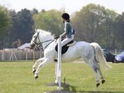 Image 259 in IPSWICH HORSE SOCIETY SPRING SHOW. 22 APRIL 2019