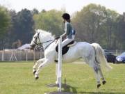 Image 259 in IPSWICH HORSE SOCIETY SPRING SHOW. 22  APRIL 2019