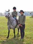Image 26 in IPSWICH HORSE SOCIETY SPRING SHOW. 22 APRIL 2019