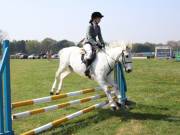 Image 261 in IPSWICH HORSE SOCIETY SPRING SHOW. 22 APRIL 2019
