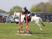 Image 263 in IPSWICH HORSE SOCIETY SPRING SHOW. 22  APRIL 2019